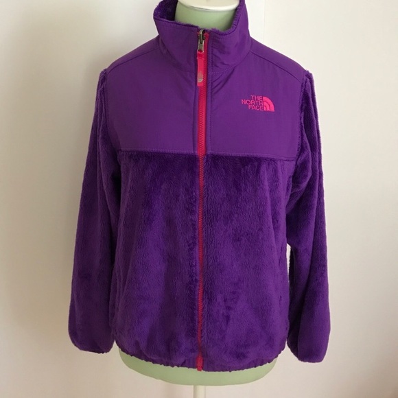 The North Face Other - 🌺The North Face Jacket